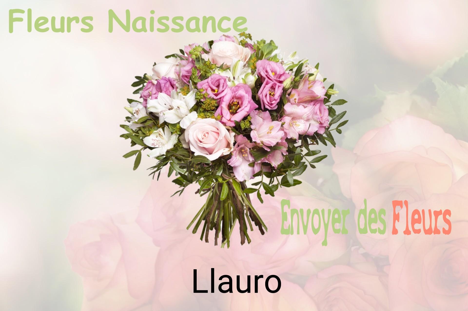 Bouquet de fleurs de naissance livré à Llauro